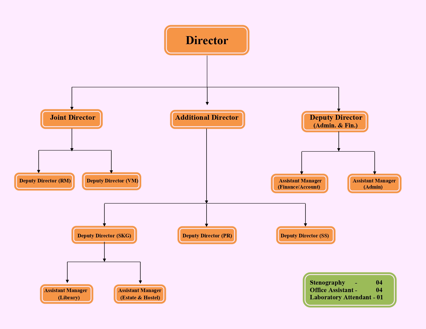 Organisation Chart